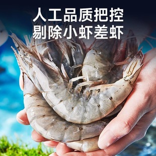 冻盐新鲜大虾鲜活速冻盐冻南美厄瓜多尔白虾海虾对虾类海鲜