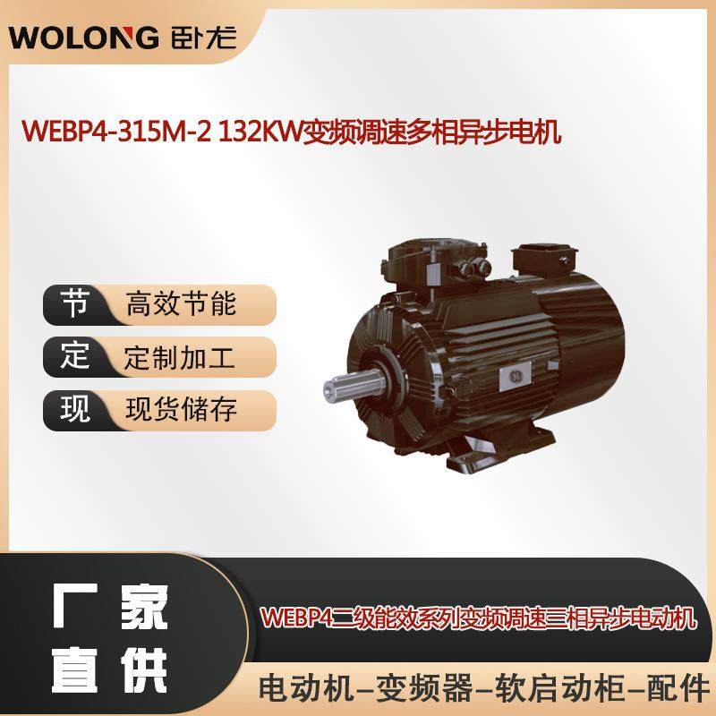 WEBP4-315M-2132W变频调速多相异步电机变频调速一体机