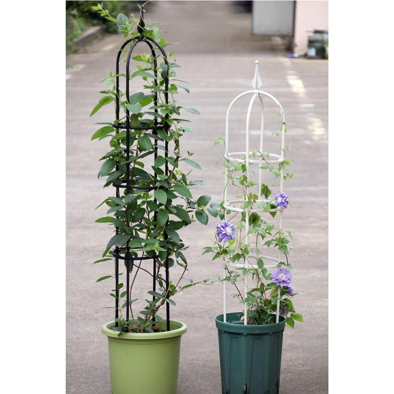 爬藤架U型花支架园艺攀爬藤植物架月季花架一件