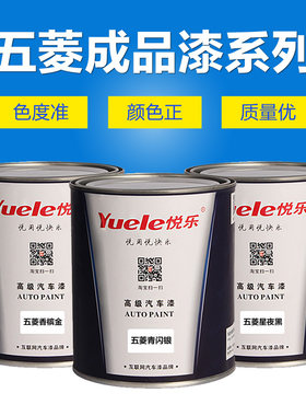 汽车成品漆五菱之光白银荣光亮米黄香槟金青闪银宏光大地棕青瓷灰