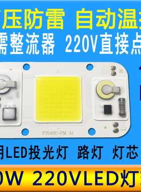 高压AC220V输入免驱动50W大功率LED灯珠投光灯路灯改造光源板灯芯