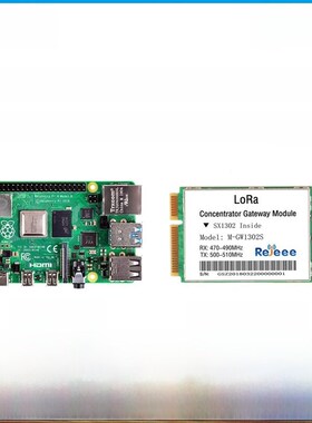 Lora升级版Sx1301/Sx1302透明传输Lorawan射频网关模块,包含树莓