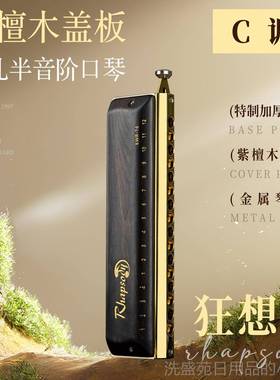 正品ESTOP东鼎A16孔6方4音半音阶口琴狂想曲专T业演奏学生通用练