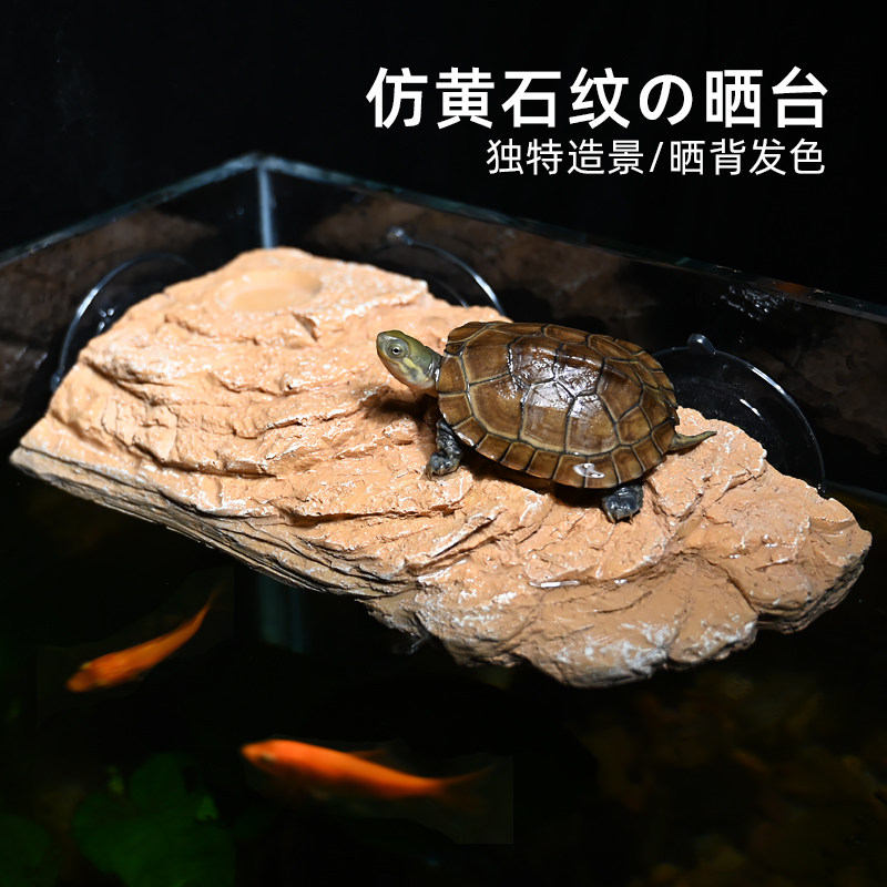 乌龟补钙晒背爬台龟缸造景鱼缸深水浮岛巴西龟高水位石头休息平台,宠物/宠物食品及用品,爬宠清洁及日用品,淘宝优惠券,粉丝福利购,淘宝优惠卷