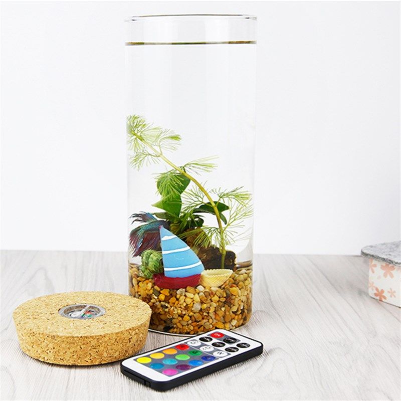 创意家居办公桌生态缸 桌面鱼缸 水草泰国斗鱼缸 微型免换水鱼缸,宠物/宠物食品及用品,桌面缸,淘宝优惠券,粉丝福利购,淘宝优惠卷