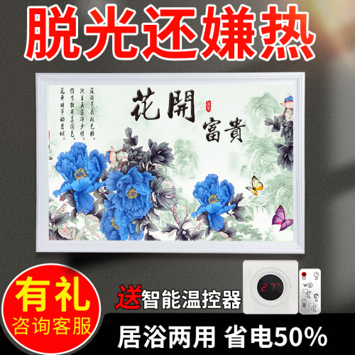 石墨烯取暖器碳晶电热板全屋取暖家用速热暖气片浴室壁挂式电暖器
