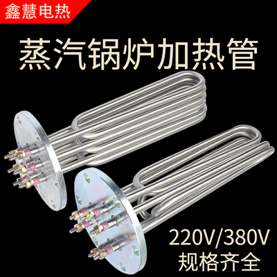 140150法兰蒸烫机加热管水箱锅炉大功率电热管220v380V蒸汽发生器