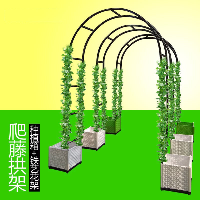 铁丝爬藤拱架棚架菜架天台景观过道紫藤花架花盘圈圈引路遮阳攀爬