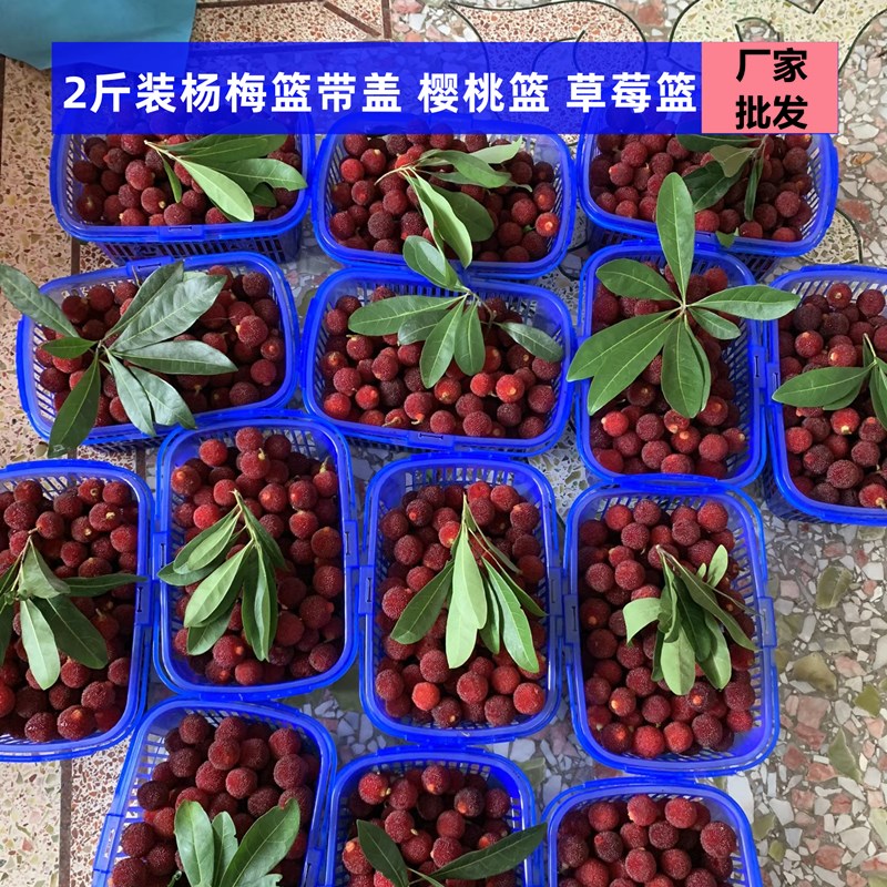 2斤装塑料水果篮子带盖子草莓篮杨梅篮桑葚篮樱桃小篮子方蓝手提