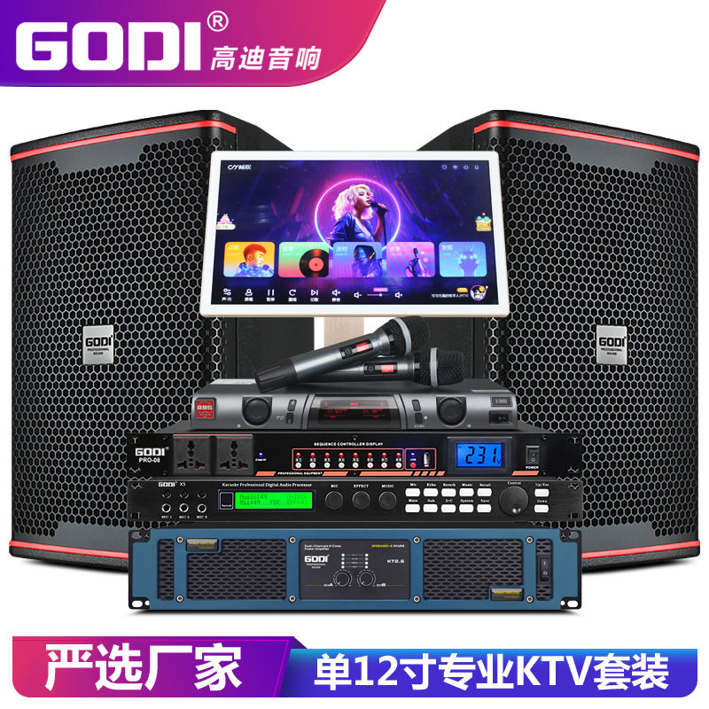 GODI 单12寸专业舞台KTV音响家庭卡拉OK酒吧音箱套装点歌机全套