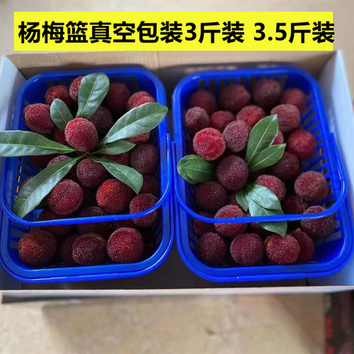 杨梅篮3斤装真空包装快递篮桑葚篮水果篮子樱桃草莓篮子车厘子篮