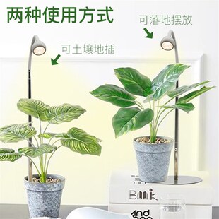 地插式植物生长灯仿太阳光落地多肉草莓兰花绿植LED全光谱补光灯