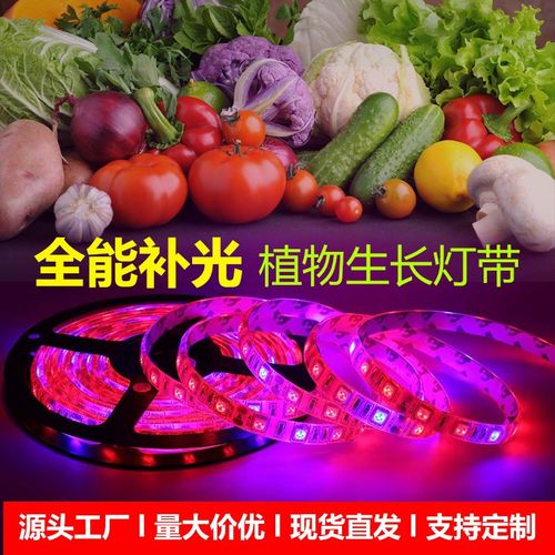 led全光谱植物灯带5VUSB防水植物生长灯花卉多肉补光种植植物灯带