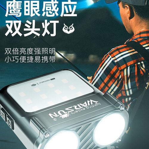 猫头鹰帽夹灯夜钓感应头灯钓鱼专用强光充电超亮头戴超长续航超轻