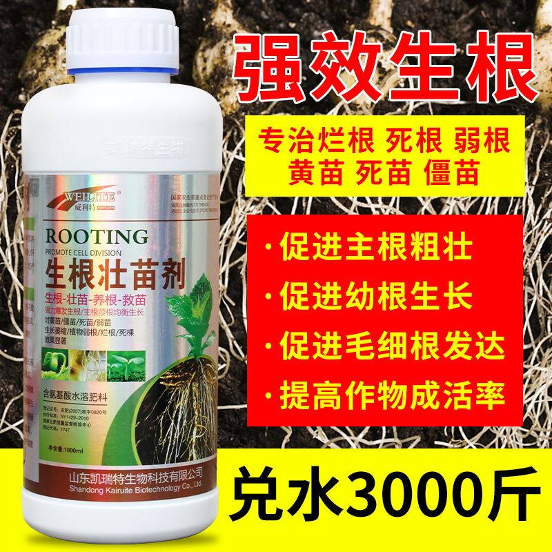 生根壮苗剂粉强力通用生根液移栽扦插绿萝生发根剂花卉果树叶面肥