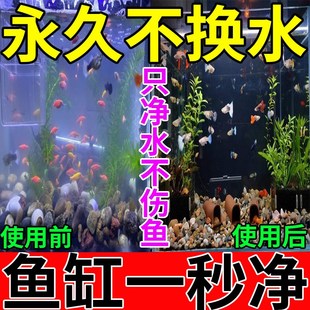 鱼缸水净化剂特清一滴清水质清澈剂专用硝化细菌养鱼不伤鱼水立清