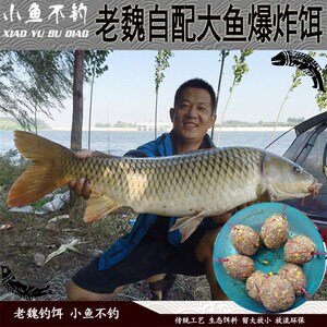 老魏自配大鱼爆炸饵 海竿爆炸钩诱鱼窝料草鱼鲤鱼青鱼发酵钓鱼饵