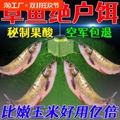 秋钓草鱼方块饵料果酸黑坑抛杆野钓草鱼青鱼翻板钩爆炸钩鱼饵全能
