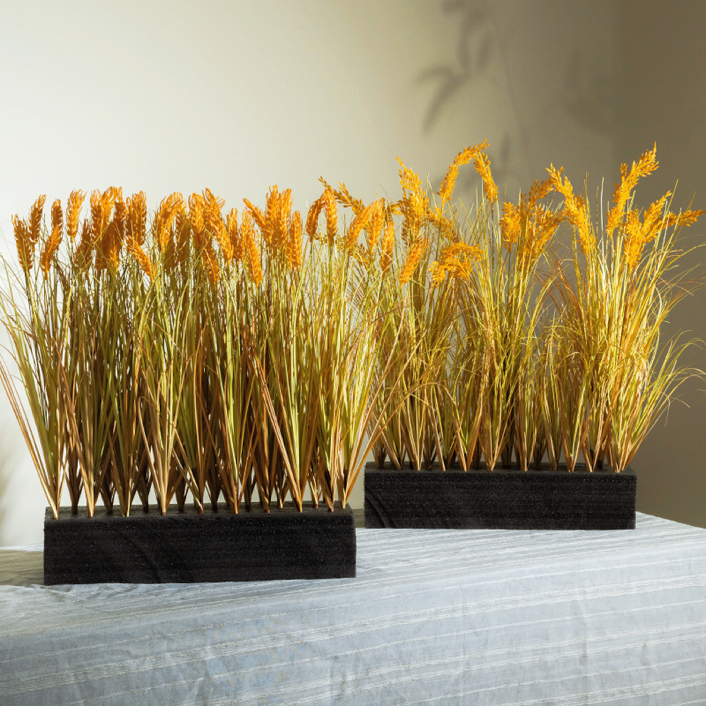 2025新款稻穗干花花束真水稻麦穗田园装饰五谷丰登拍摄道具稻谷花