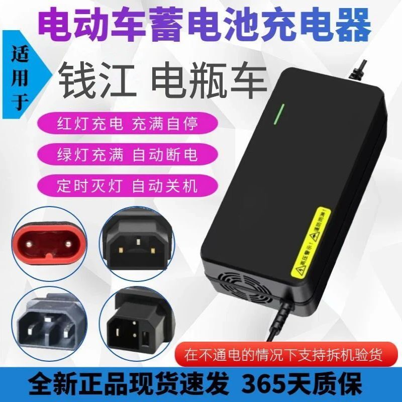 适用于钱江电动车的电瓶48V12AH48V20AH60V20AH72V20AH断电充电器