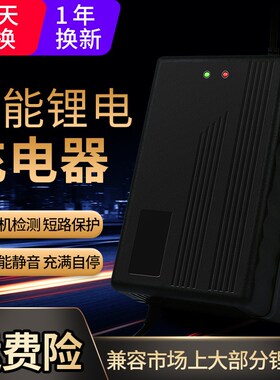 21串磷酸铁锂76.65v锂电池电瓶充电器76.65V2a5a8a10a锂电池充电