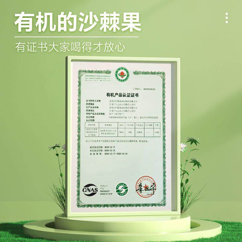 沙棘汁饮料960ml整箱4罐装生榨纯沙棘原浆山西大同VC果汁,鲜花速递/花卉仿真/绿植园艺,割草机/草坪机,淘宝优惠券,粉丝福利购,淘宝优惠卷