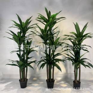 仿真假绿植办公室盆栽绿色黄边大富贵巴西铁大叶茂盛盆景植物室内