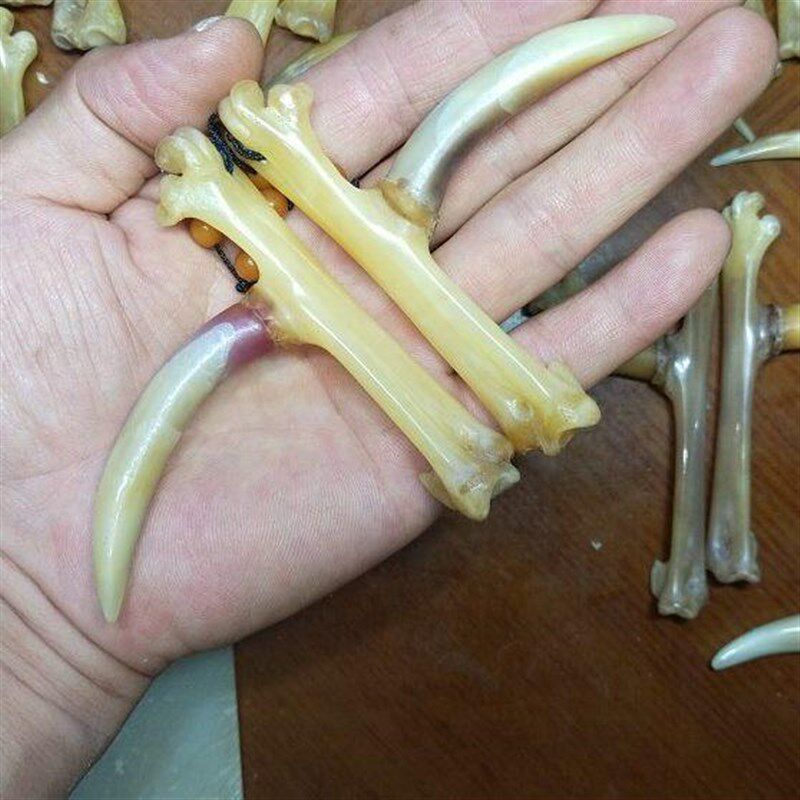骨钱蹬老鸡拐子玩手工制作鸡爪骨把件传统抓子玩盘手骨艺文玩鸡