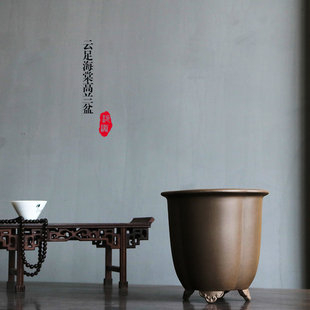 紫砂兰花盆春蕙建墨寒绿云翠盖蝴蝶兰素面原矿紫砂清灰云足高海棠