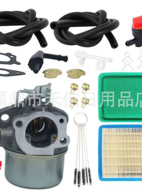 214706 215369 792970 798654 811056化油器Intek 190 850发动机