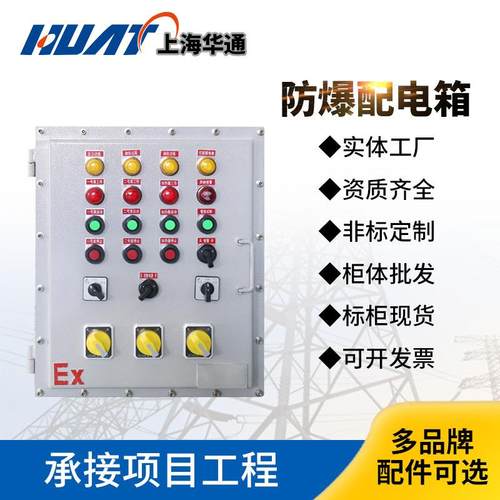 防爆动力配电控制箱仪表照明动力箱非标可订箱体