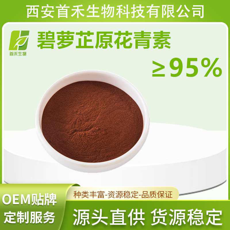 碧萝芷提取物95%  原花青素 OPC 95%    碧萝芷原花青素 首禾 厂