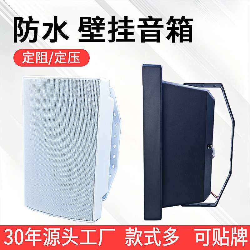 壁挂音箱 定阻定压室外防水公共广播用门店铺超市商场壁挂音响