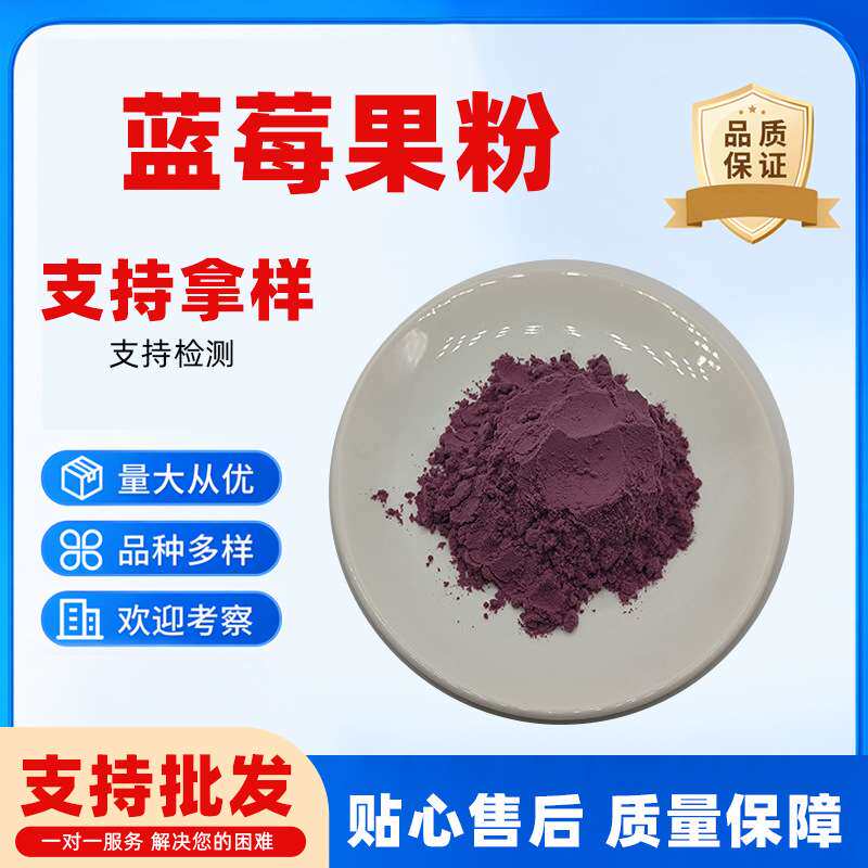 蓝莓果粉无中间商蓝莓果汁粉现货1kg起批蓝莓粉
