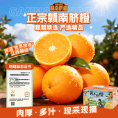 直发 包邮 宋潮文旅官方推荐 正宗江西赣南脐橙产地现摘现发单件