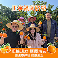 淘贝贝溯源正宗赣南脐橙精品大果