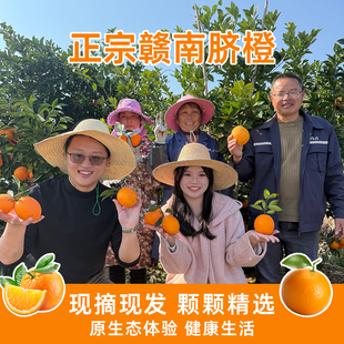 【赣南脐橙】正宗江西赣南直发当季新鲜手剥甜橙香甜多汁橙子