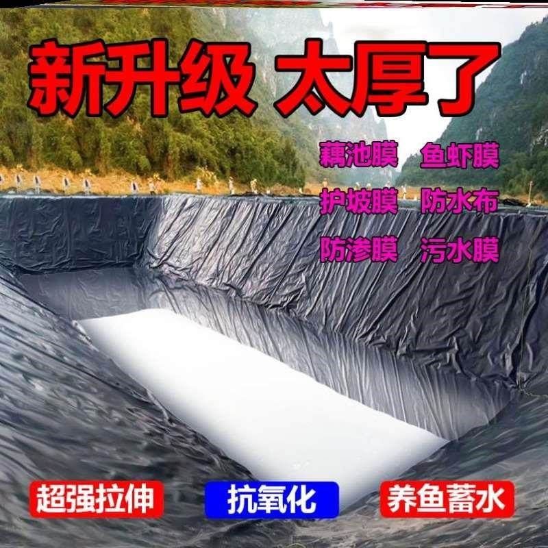 鱼塘防渗膜抗老化土工膜塑料膜水池藕池护坡防漏膜黑色加厚养殖膜,农机/农具/农膜,农用薄膜,淘宝优惠券,粉丝福利购,淘宝优惠卷