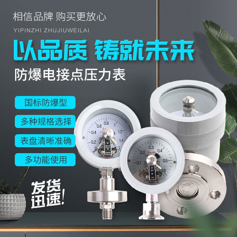特殊隔膜型平面/螺纹/葫芦法兰防爆电接点压力表沈阳测压仪表厂