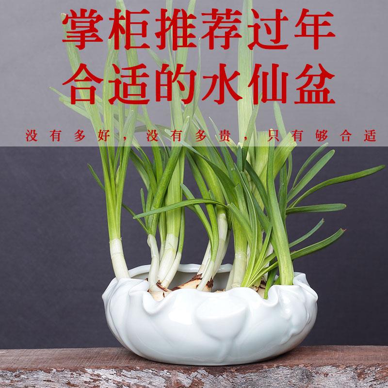 奇异水培绿萝容器水仙花盆陶瓷无孔铜钱草碗莲睡莲大号创意多肉盆