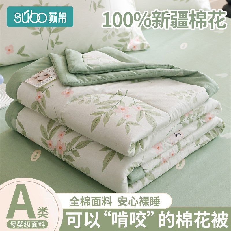 全棉印花棉花夏被夏凉被2025新款空调被四季通用儿童被单人可机洗,床上用品,棉花被,淘宝优惠券,粉丝福利购,淘宝优惠卷