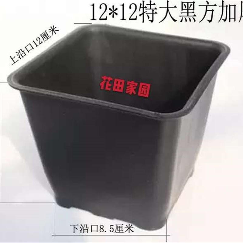 大黑方12*12cm 多肉花盆 加厚小方形塑料花盆多肉塑料花盆
