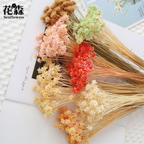 材料包干花永生花摆件真花diy手工装饰小山花浮游花瓶配材天然