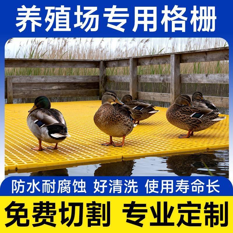 玻璃钢格栅厂家鸽舍养殖场地格栅板排水沟盖板洗车房地网格板