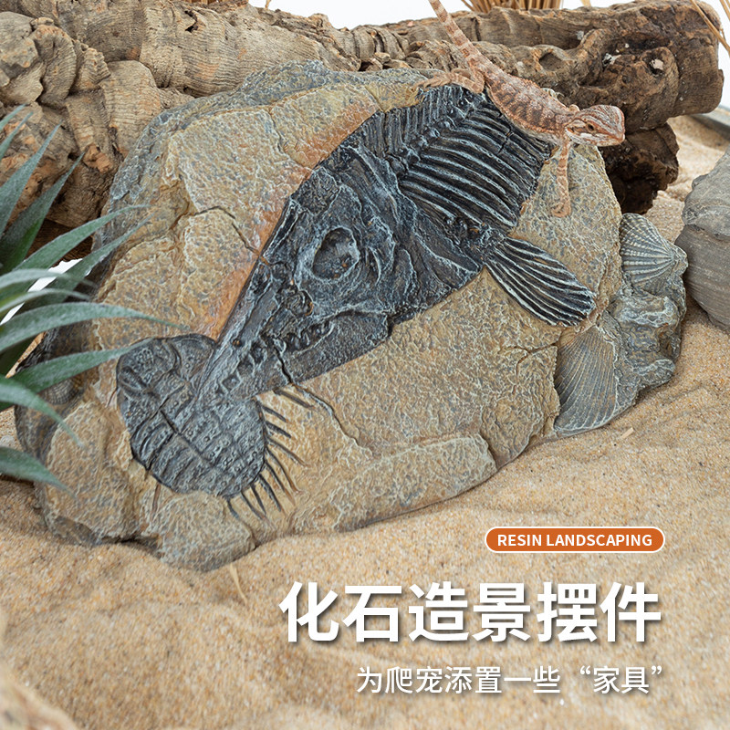 wacool玩酷树脂摆件鱼化石仿真装饰物爬虫爬宠缸鱼缸造景,宠物/宠物食品及用品,爬宠躲避/造景,淘宝优惠券,粉丝福利购,淘宝优惠卷