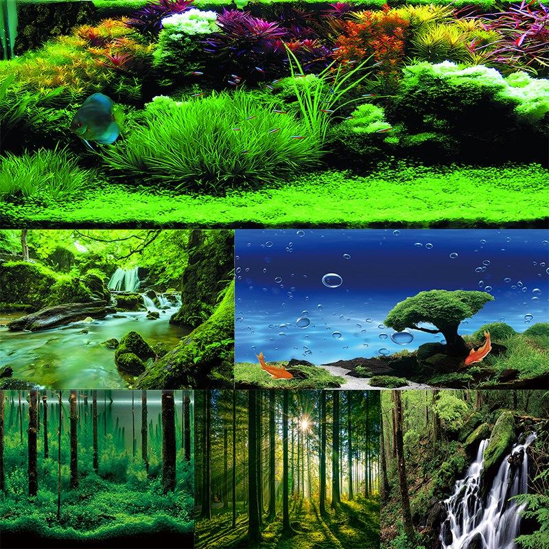 鱼缸背景贴纸高清图3D立体水草水族箱鱼缸造景外贴装饰壁纸背景画
