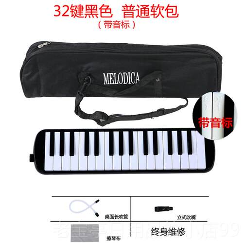 正品口吹风琴32键3键成人儿童小学生初学课者7堂教学送管专业演奏