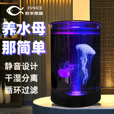 半圆形桌面专业小水母缸鱼缸赤月海月大西洋水母小型观赏水母缸