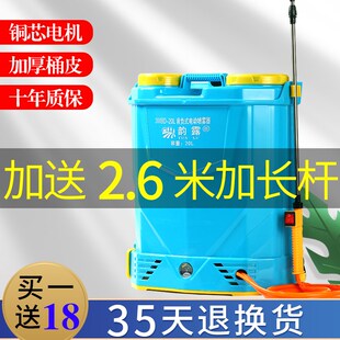 电动喷雾器农用打药机背负多功能充电小型喷壶果树喷雾机防疫消毒