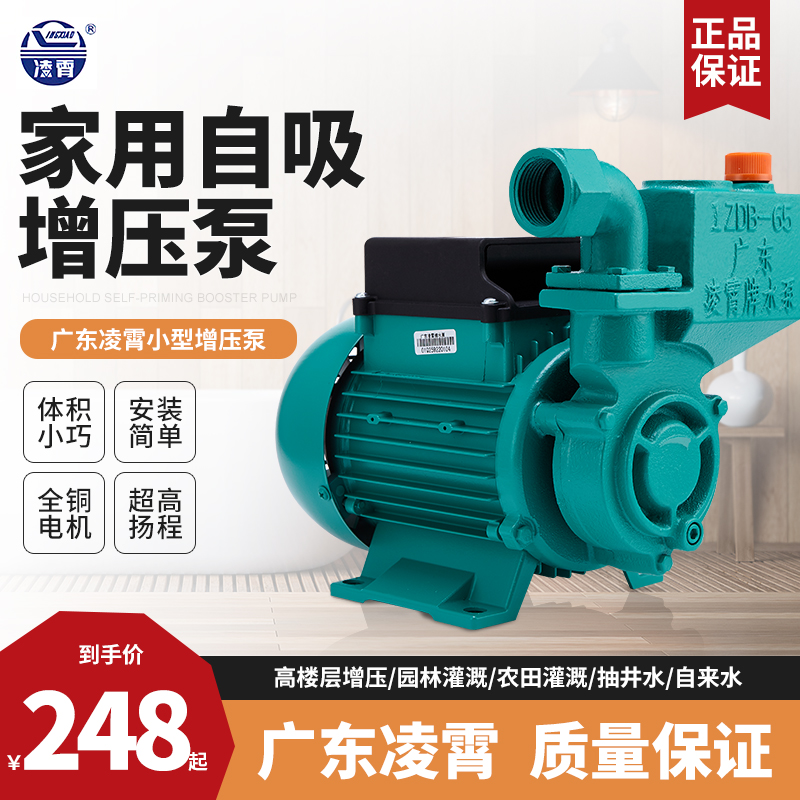 广东凌霄水泵增压泵家用全自动抽水井自来水管道加压1ZDB65型水泵